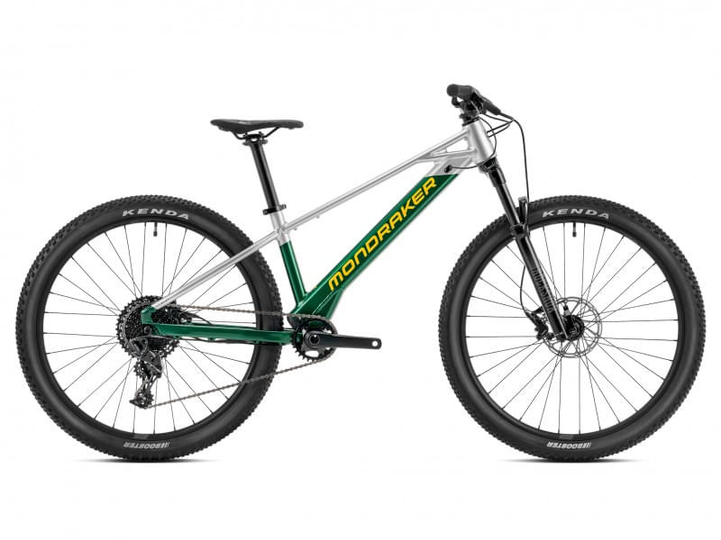 E-Bike Kinder Hardtail